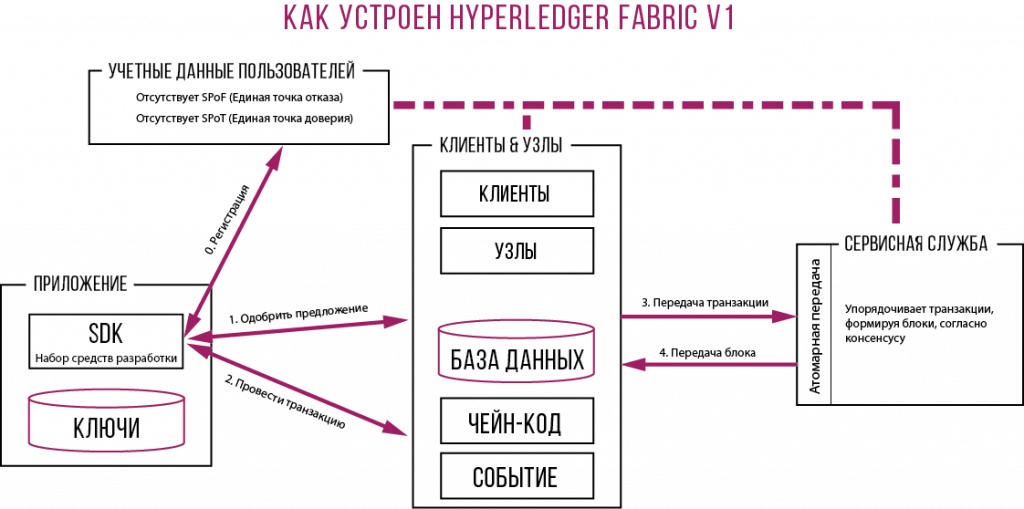 Hyperledger Fabric схема
