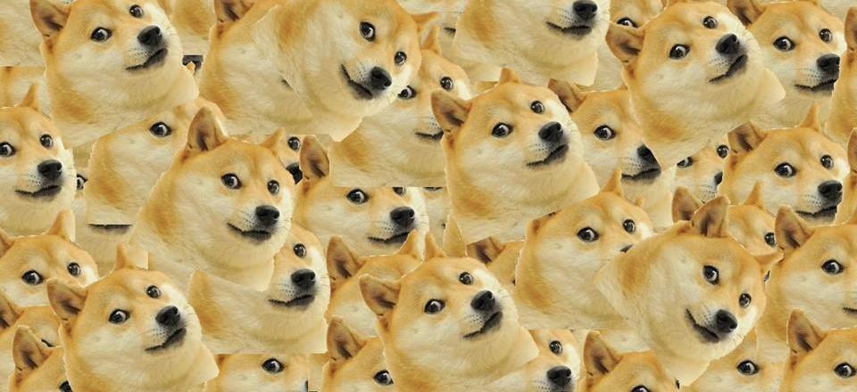 Хардфорк Dogethereum запланирован на осень 2018 года