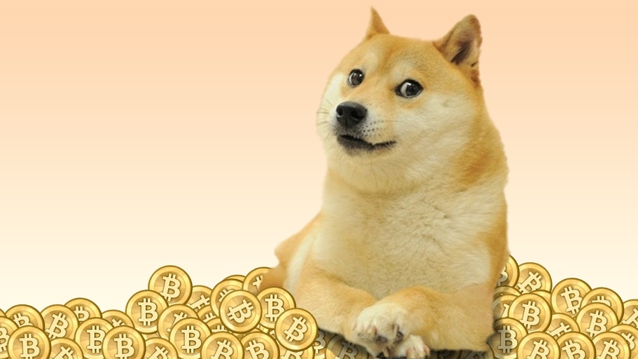 Количество транзакций в сети Dogecoin в три раза превысило аналогичный показатель Bitcoin Cash