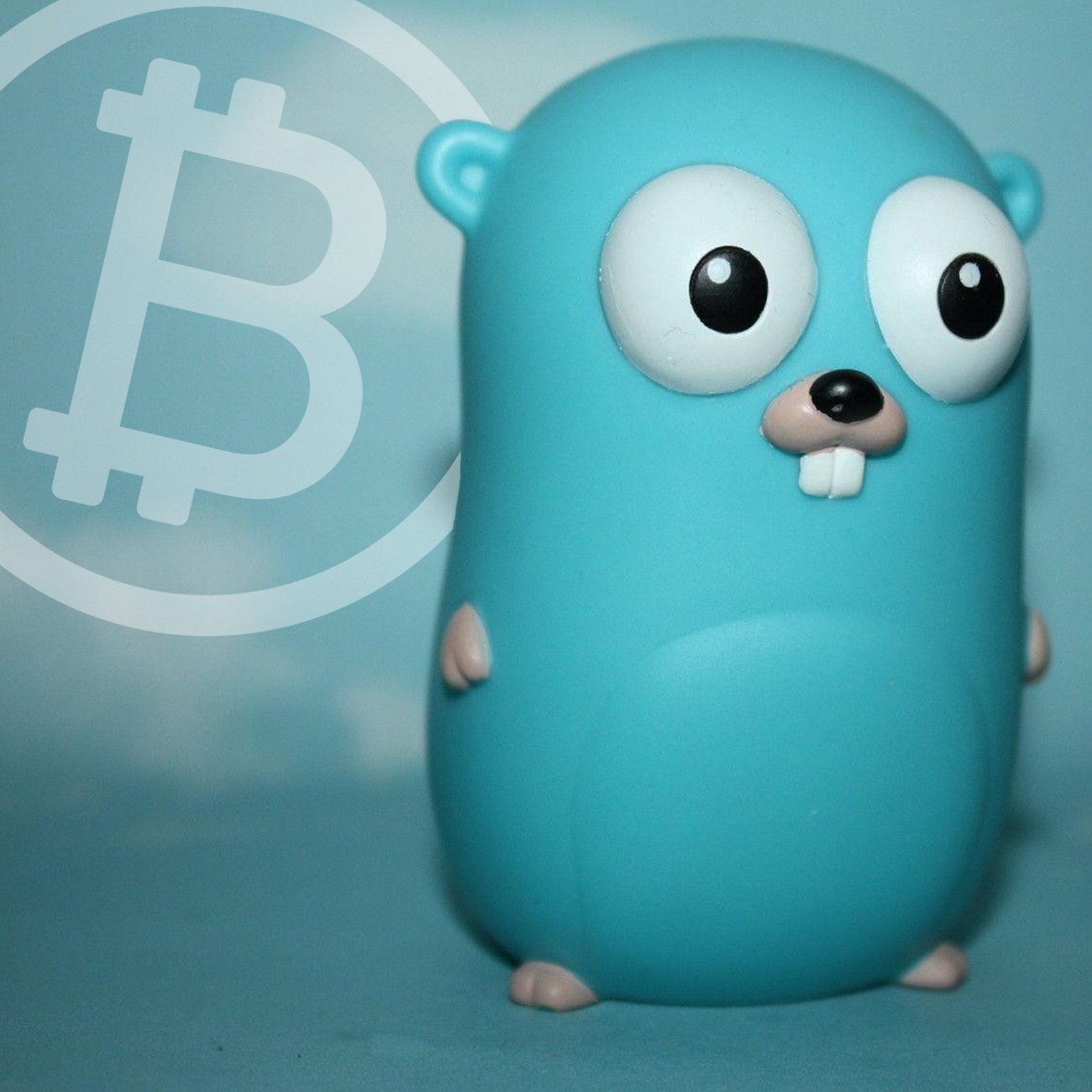 Разработчик Bitcoin Cash создал клиент для полного узла сети