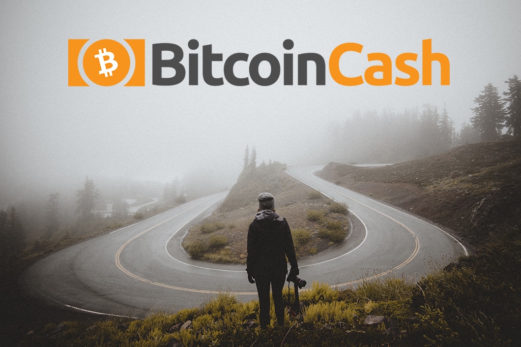 Поддержка Bitcoin SV среди трейдеров и майнеров растет