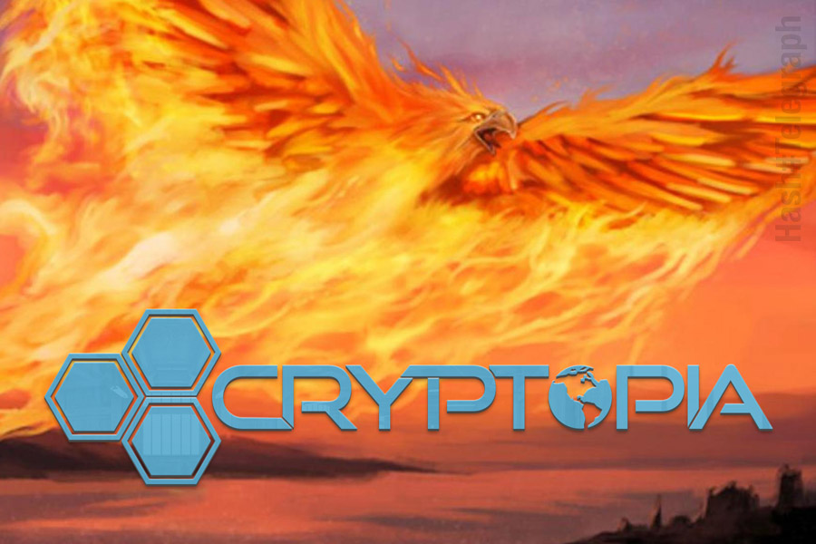 Биржа Cryptopia возобновит торги в конце марта