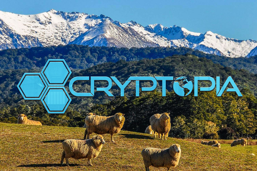 Биржа Cryptopia возобновила работу в режиме «только для чтения»