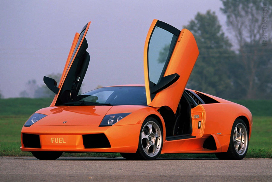 Криптовалютный стартап — самый простой способ получить Lambo