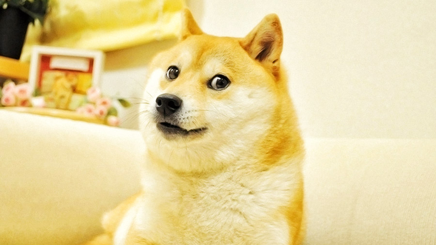 Может ли листинг Dogecoin на Binance послужить сигналом начала сезона альткоинов?