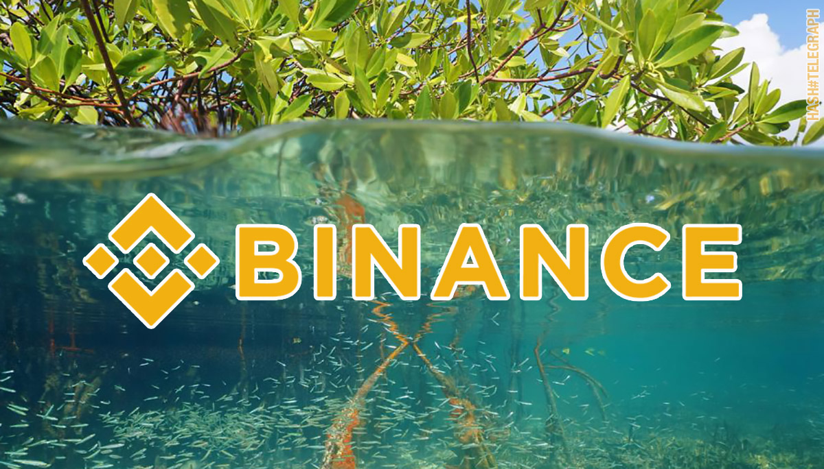 Бренд Binance начинает олицетворять собой не только биржу, но и целую экосистему