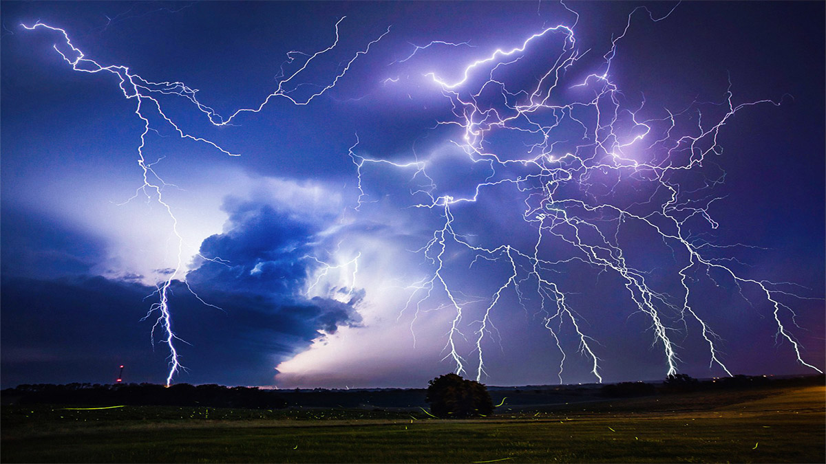 Исследование: популярность сети Lightning Network растет на фоне роста цены биткоина