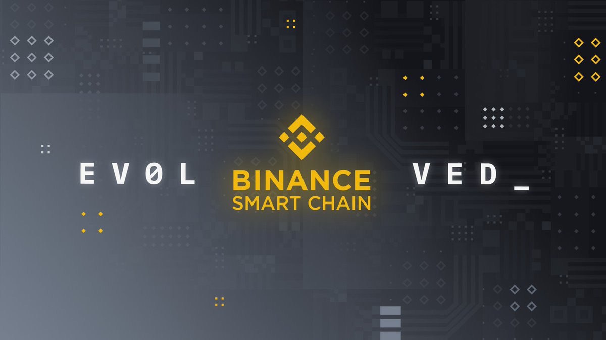 Увидела свет техническая документация по блокчейну Binance Smart Chain