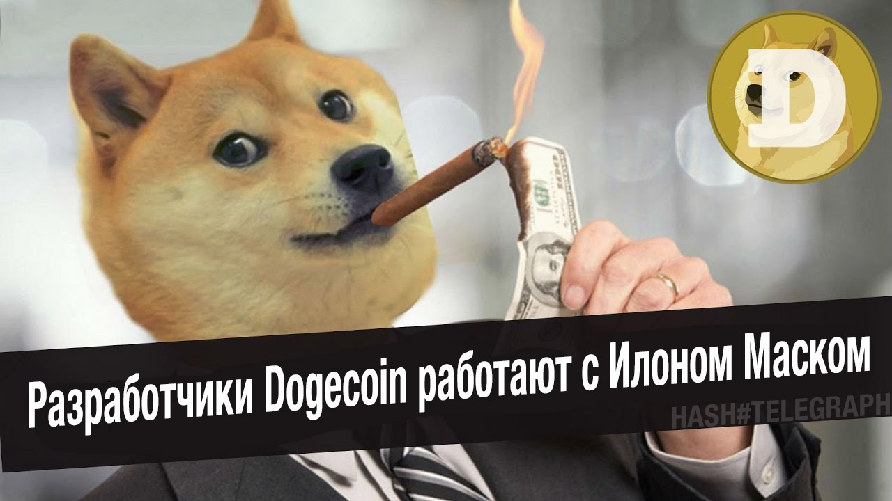 Мы работаем с Илоном Маском с 2019 года — разработчики Dogecoin