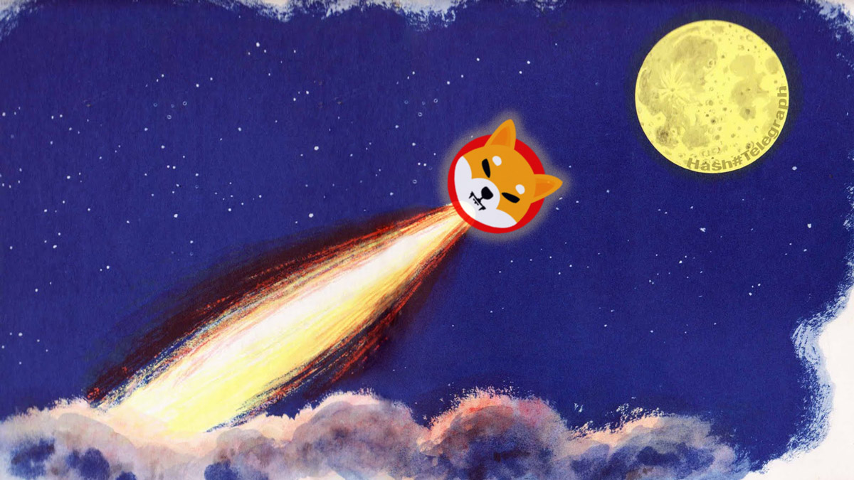 Монета Shiba Inu вошла в топ-20 криптовалют благодаря Илону Маску