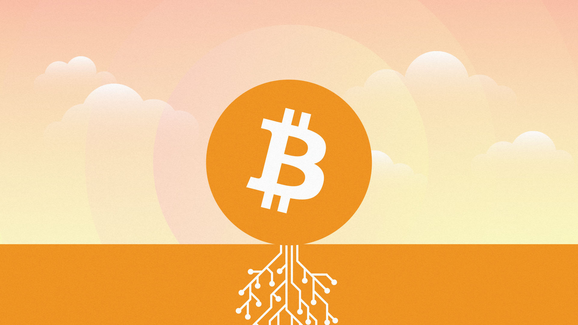 В сети биткоина активировано обновление Taproot