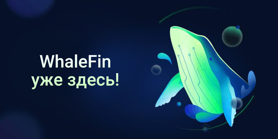 Платформа WhaleFin от Amber Group меняет представление об управлении цифровыми активами в метавселенной