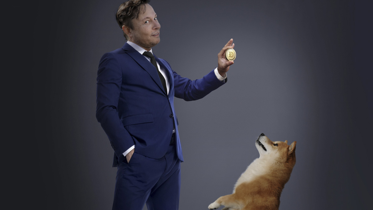 Илон Маск — покровитель собачьих монет — снова пропампил DOGE