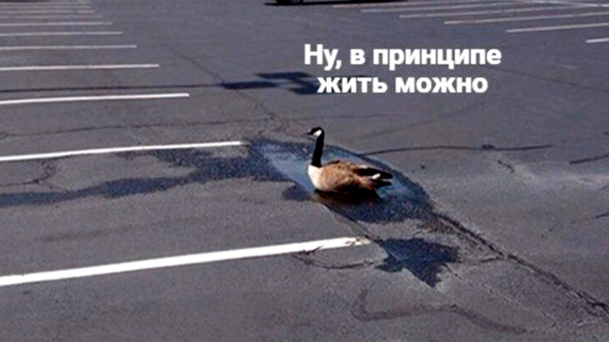 Покупка криптовалют — только через банк и только после сдачи экзамена. Минфин РФ опубликовал пресс-релиз (не Панорама)