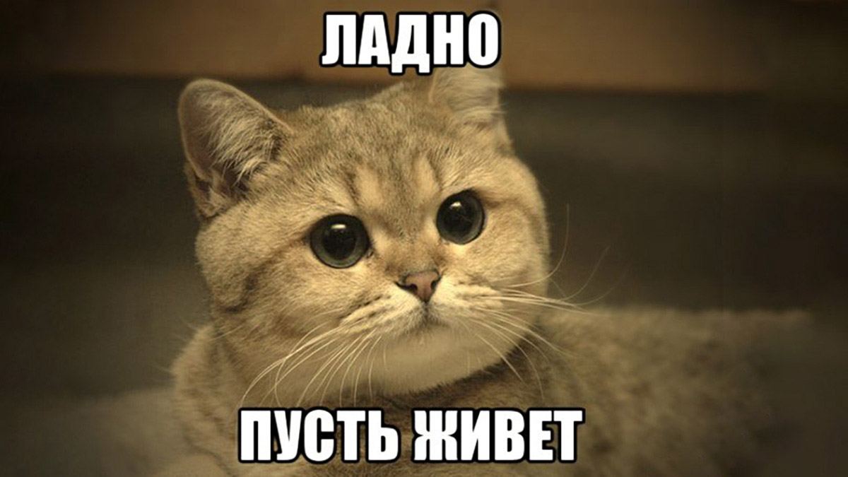 Такой инструмент нужен: Минфин РФ не против стейблкоинов