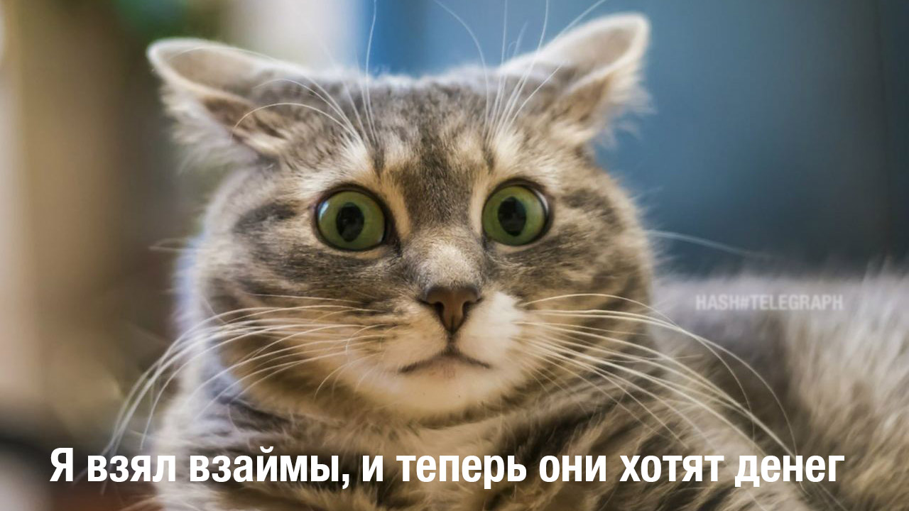 Обанкротившаяся компания Three Arrows Capital задолжала кредиторам $3,5 млрд