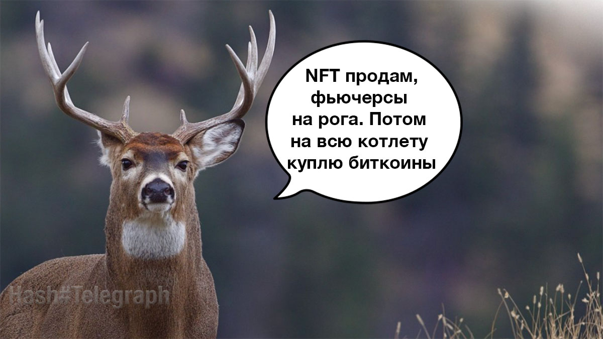 Якутия представила NFT-коллекцию оленей и фьючерсы на рога
