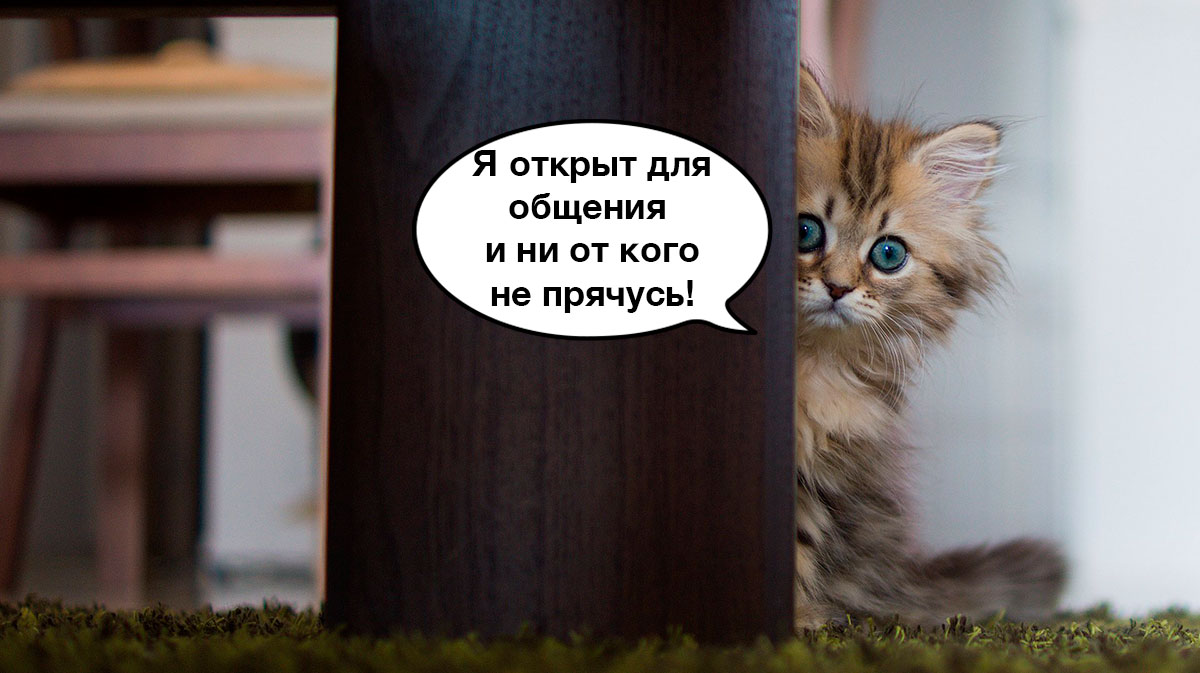 «Я не в бегах, но о своем местонахождении ничего вам не скажу». До Квон снова вышел на связь