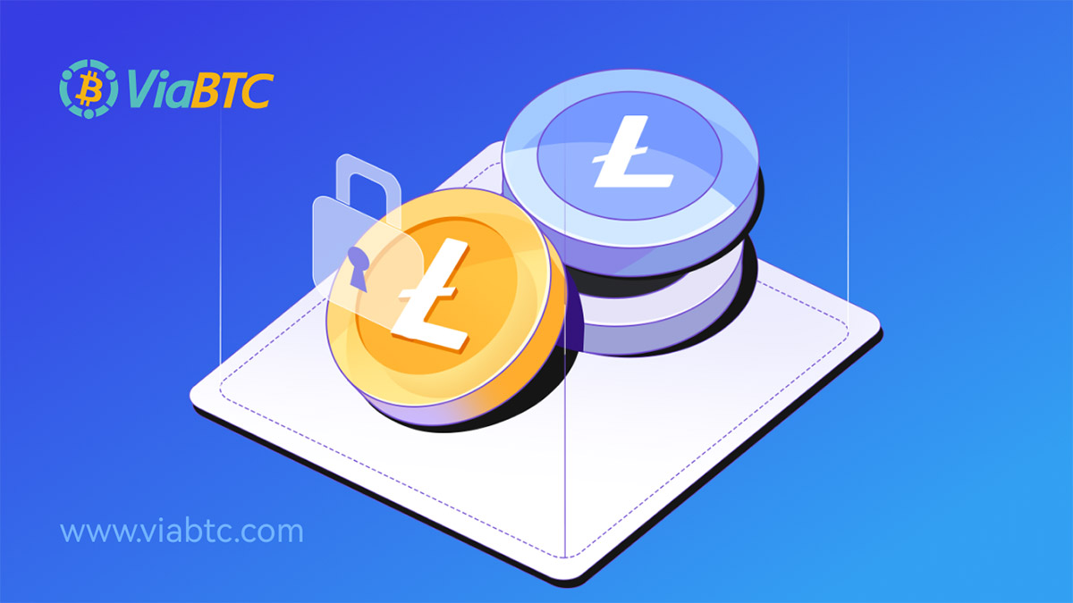 Обзор сетевых данных: показатели эффективности Litecoin в ноябре