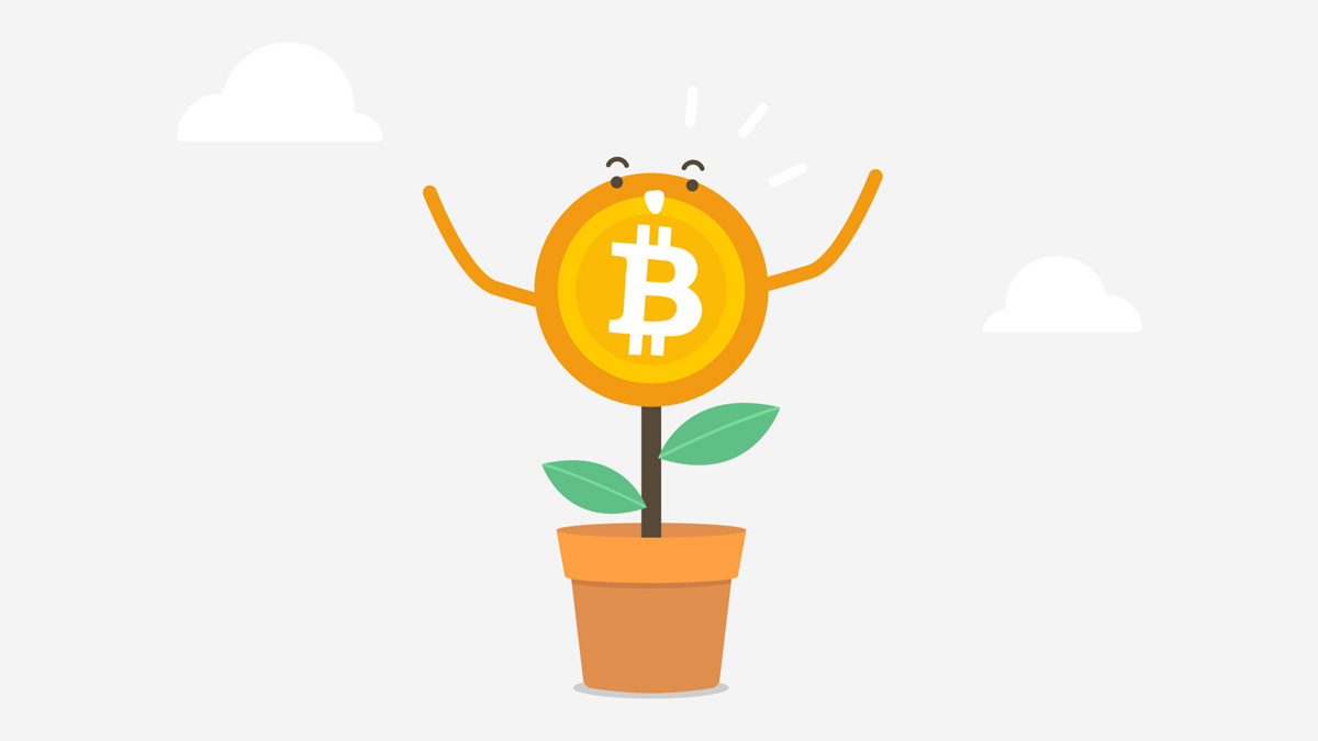Отчет QCP Capital: макроэкономика, ETF и стратегия накопления биткоина