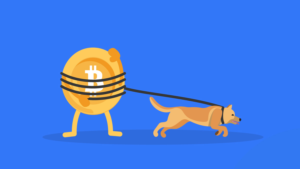 Coinbase готовит ответ на споры вокруг WBTC: анонсирован загадочный cbBTC