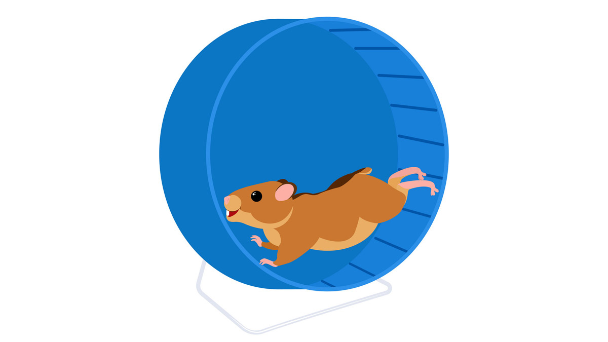 Hamster Kombat: анатомия популярной игры глазами поисковых запросов