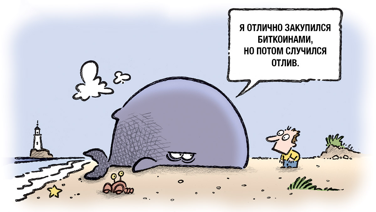 Крупные игроки накапливают биткоин, пока мелкие трейдеры паникуют