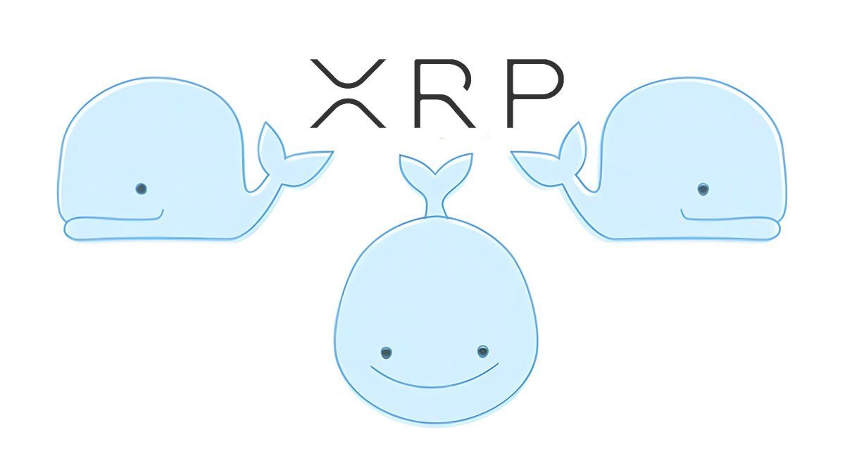 Исторический максимум китов XRP совпал с ростом токена на 25% за неделю
