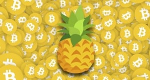 Pineapple Fund