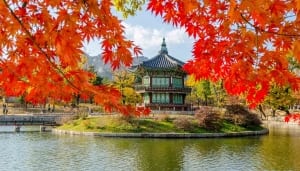Autumn of Gyeongbokgung Palace in Seoul ,Korea