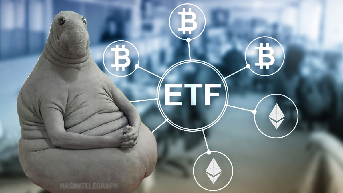 SEC отложила решение по двум заявкам на запуск криптовалютных ETF